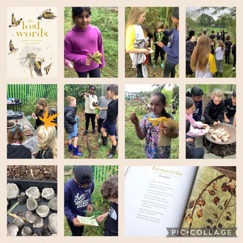 Image for the Tweet beginning: 🌿 In Forest School we