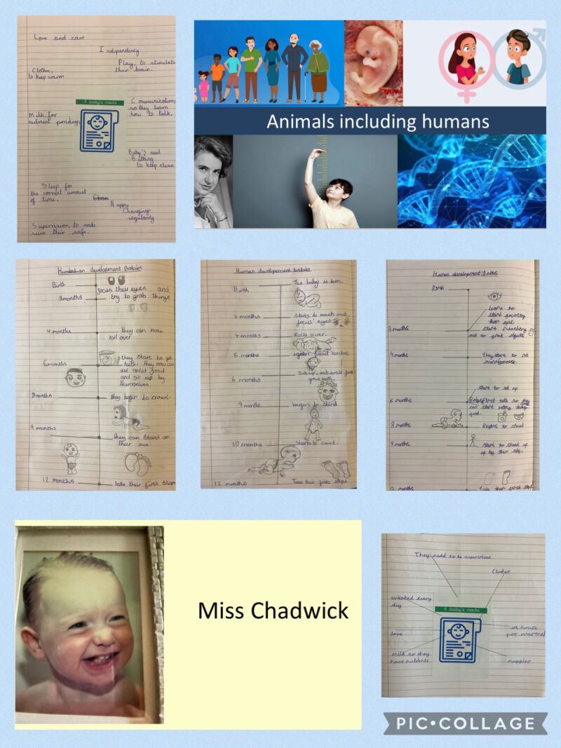 Image for the Tweet beginning: In science, we began with