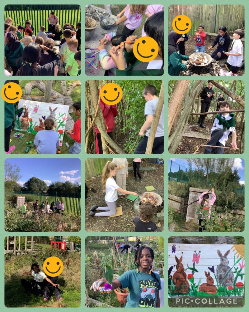 Image for the Tweet beginning: Class 9 wrapped up forest