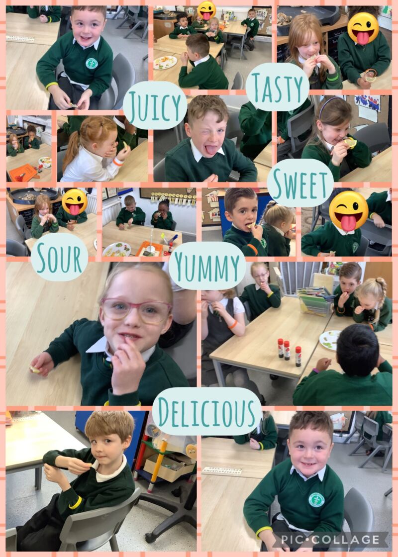 Image for the Tweet beginning: Class 4 had a fantastic